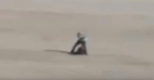 инопланетянин сидел на песке