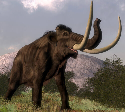 челюсть доисторического животного