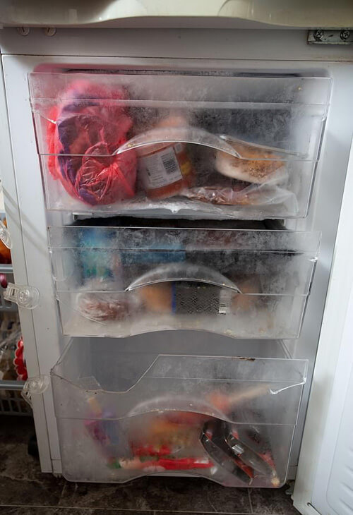 барсук ворует еду из холодильника