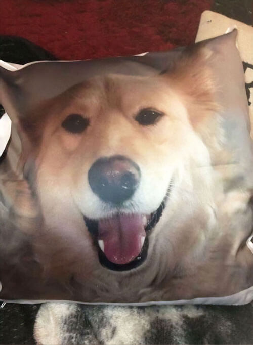 подушка с портретом пса