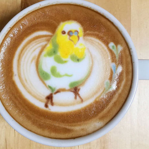 рисунки с птицами на кофе
