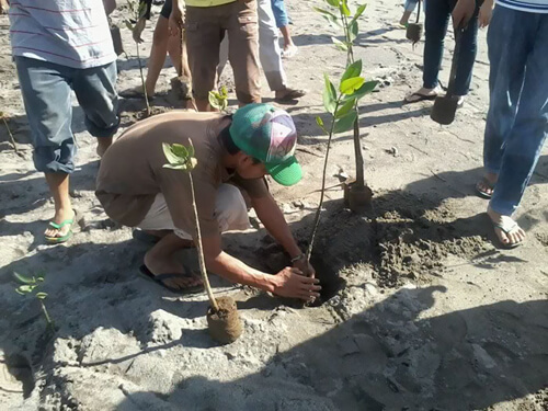 ученики сажают деревья
