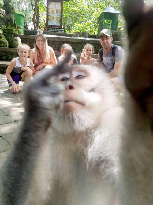 обезьяна на семейной фотографии