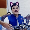 политик превратился в кошку