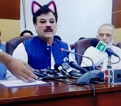 политик превратился в кошку