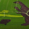 динозавра нарисовали на поле