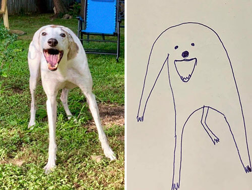 глупые карикатуры на собак
