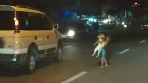мальчик переходит дорогу с собакой