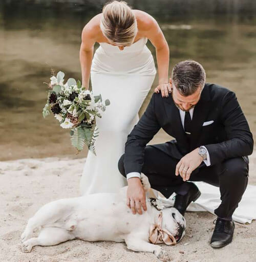 пёс искупался на свадьбе хозяев