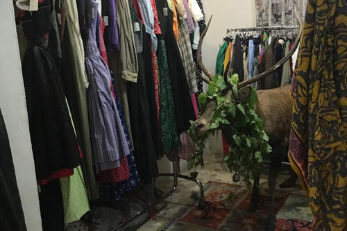 олень заблудился в магазине одежды
