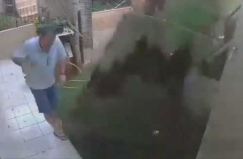 мужчина устроил взрыв в саду