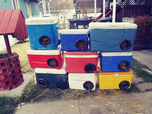 домики для бродячих кошек