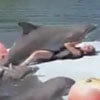 неприличные объятия с дельфином