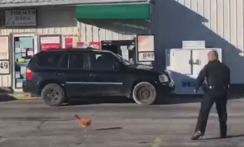 охота на быстроногих кур