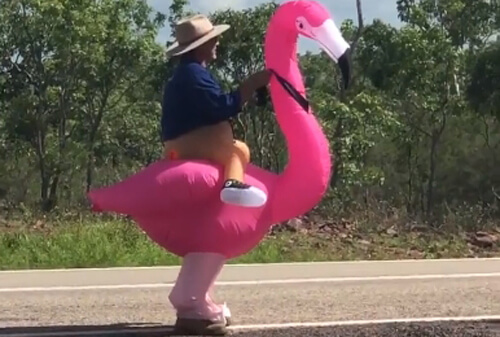 папа верхом на розовом фламинго