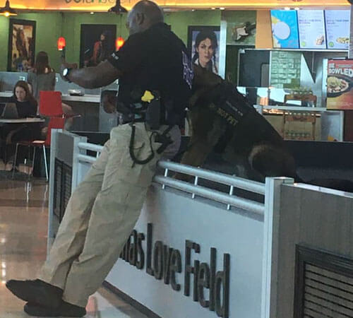 селфи с полицейской собакой