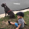 мальчик сидит с собаками