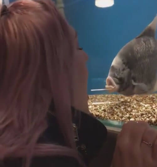 женщина разговаривает с рыбой