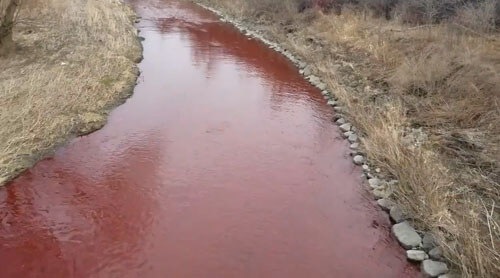 вода в ручье стала красной