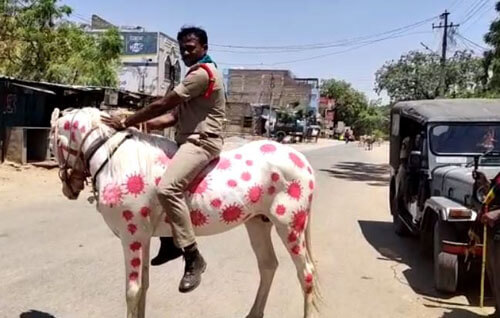 разрисованная полицейская лошадь