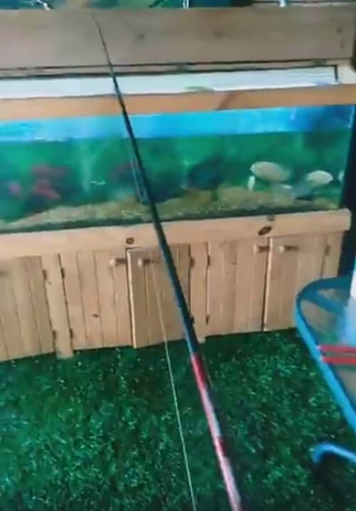рыбалка возле аквариума