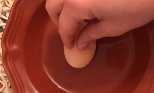 куриное яйцо с сюрпризом