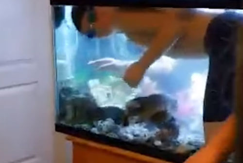 мальчик плавает в аквариуме