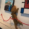 геккон в картинной галерее