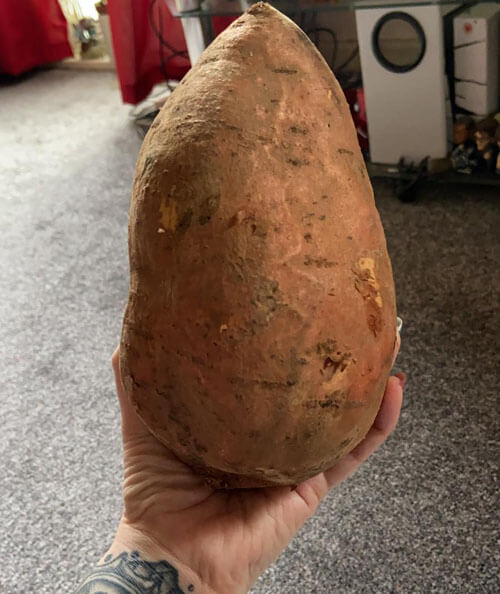 килограмм сладкого картофеля