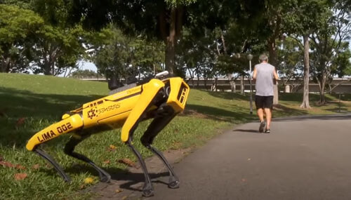 робот-собака гуляет по парку