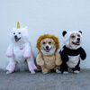 забавные костюмы для собак