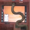 змея спряталась в банкомате
