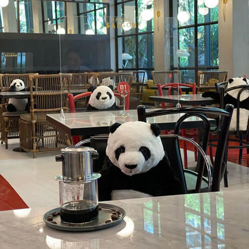 игрушечные панды в ресторане