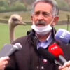 страус принял участие в интервью
