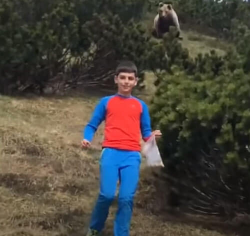 мальчик встретился с медведем