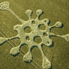 коронавирус нарисован в поле