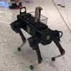 робот-собака в магазине