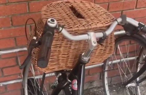 гнездо в велосипедной корзинке