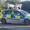 козы на полицейской машине
