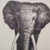 картина со слоном из гвоздей