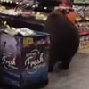 наглый медведь в магазине