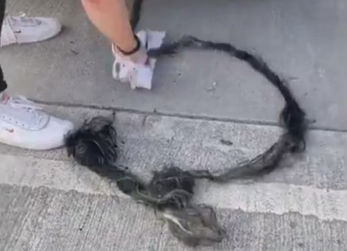 верёвка из отвратительных волос