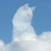 кот превратился в облачного бога