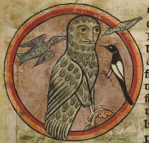 зоология средневековых художников