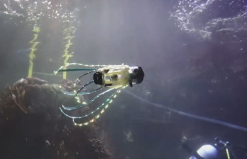 робот-кальмар плавает под водой