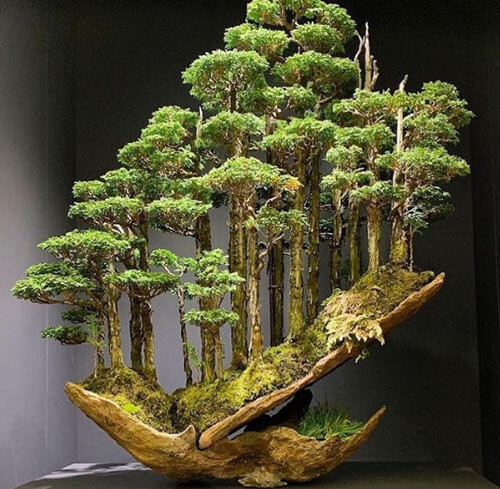художник создаёт бонсай-леса