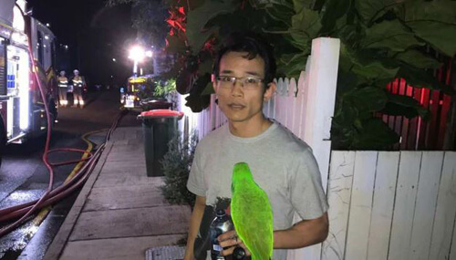 попугай спас хозяина от пожара