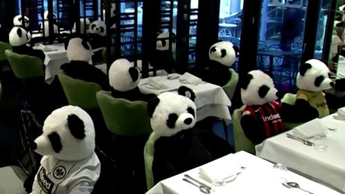протест с игрушечными пандами