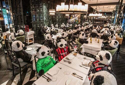 протест с игрушечными пандами