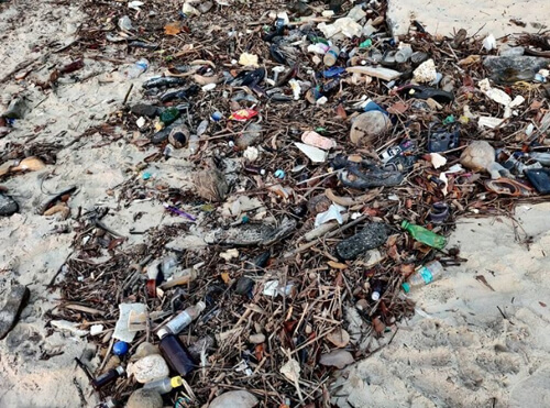 супруги убирают мусор с пляжа